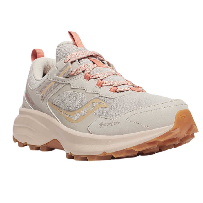 Excursion TR17 GTX Hiking Shoe