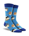Blue Socks with various cats sitting in cardboard boxes.