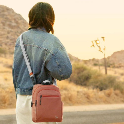 Person with a terracotta orange crossbody bag standing on a road in a desert landscape