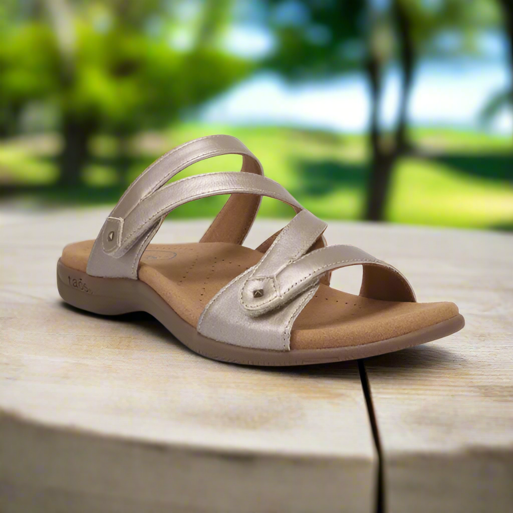 Gold strappy slide sandal sitting on a tan tree stump with trees blurred in background.