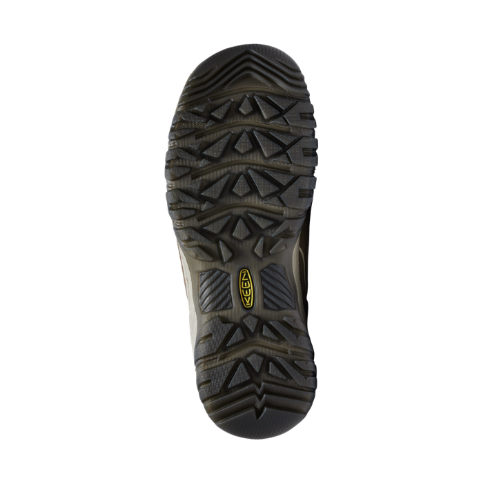 Targhee IV WP Hiking Shoe