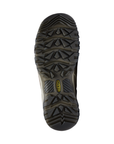 Targhee IV WP Hiking Shoe
