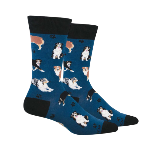 Pair of blue socks with Australian Shepard dog pattern with black cuff, heel and toe cap.
