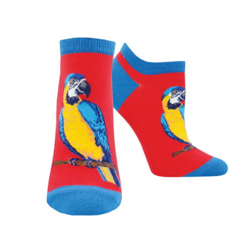 Red ankle socks with blue accents and a blue and yellow parrot on each foot.