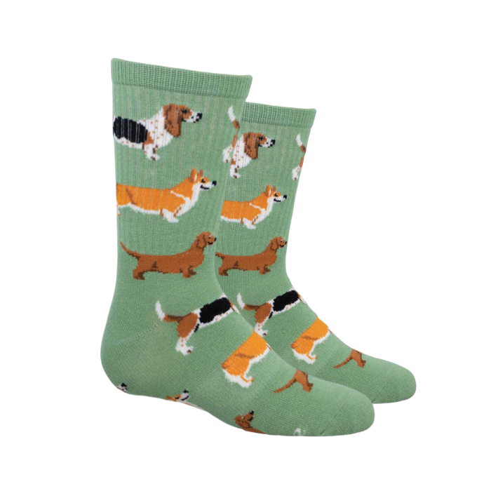 Kid's light green Socksmith sock with wiener dogs in various colours.