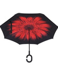 Open Knirps reversible umbrella has c-shaped handle with red flower from centre with black edges