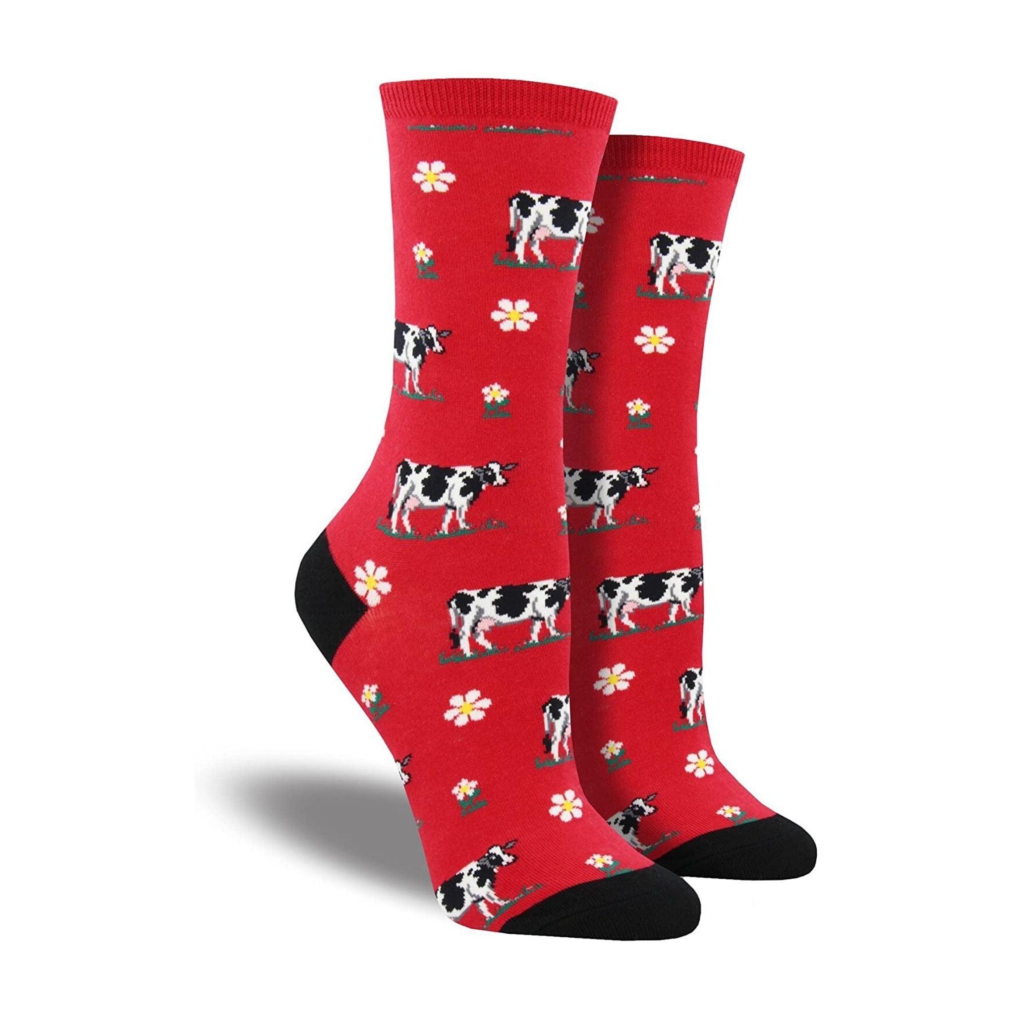 Red socks with dairy cows and daisys on them
