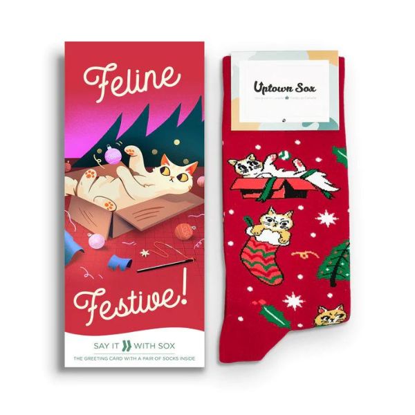 Red card and socks featuring cats in presents and stockings. Called feline festive.